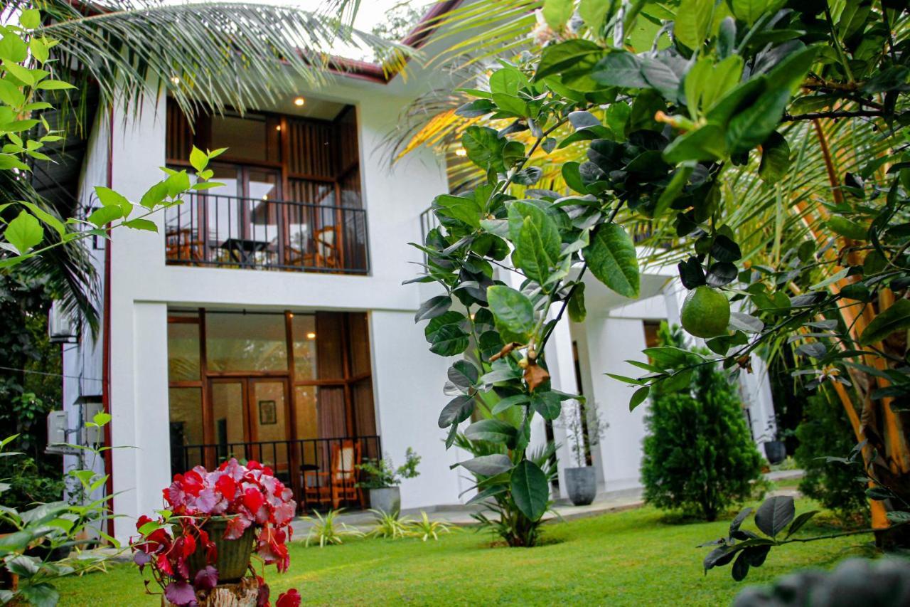 Manike Lodge Habarana Exterior photo
